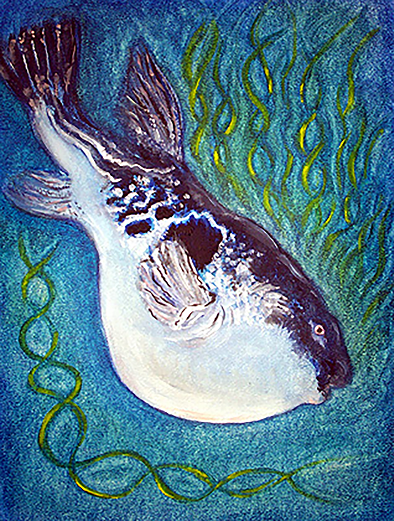 An artistic graphic illustration of the blow fish Takifugu rubripes, represented surrounded by blue water and green algae. This image is an illustration for the whole genome release of Takifugu rubripes, as part of the publication in Nature science journal published in 2002.